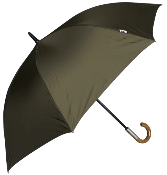Umbrella Umbrella